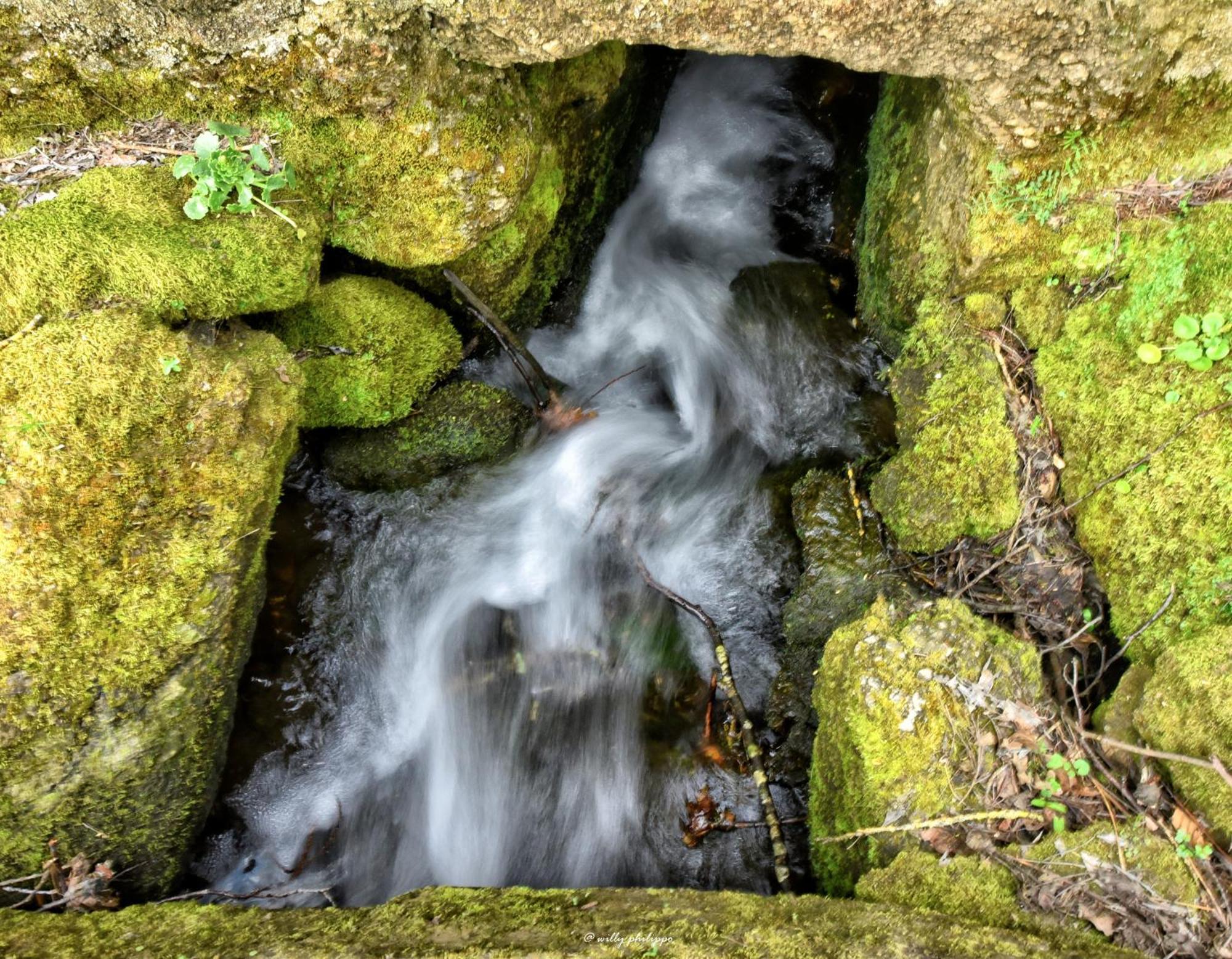 Quinta Do Moinho Turismo De Natureza Aldeia Vicosa Esterno foto